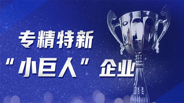 喜訊!洲翔榮膺國家級專精特新“小巨人”企業